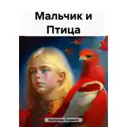 Постер книги Мальчик и Птица