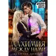 Постер книги Алхимия между нами