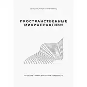 Постер книги Пространственные микропрактики