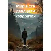 Постер книги Мир в ста двадцати квадратах