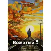 Постер книги Вожатый…