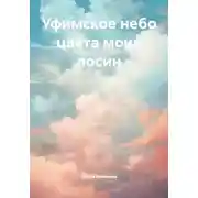 Постер книги Уфимское небо цвета моих лосин