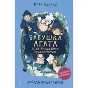 Постер книги Король мошенников