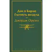 Постер книги Дни в Бирме. Глотнуть воздуха