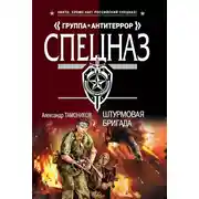 Постер книги Штурмовая бригада