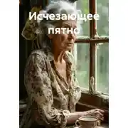 Постер книги Исчезающее пятно