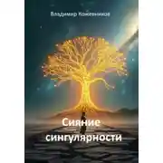 Постер книги Сияние сингулярности