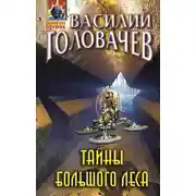 Постер книги Тайны большого леса