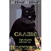 Постер книги Салем кот Поттера