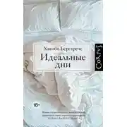 Постер книги Идеальные дни