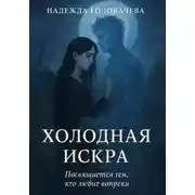 Постер книги Холодная искра
