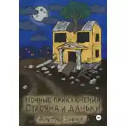 Постер книги Ночные приключения Стасяна и Даньки