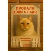 Постер книги Пропала кошка Лаки