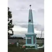 Постер книги Солдаты отчизны