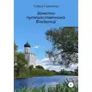 Постер книги Заметки путешественника. Владимир