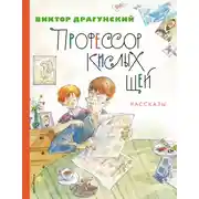 Постер книги Профессор кислых щей
