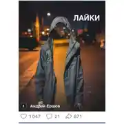 Постер книги Лайки