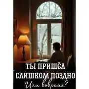Постер книги Ты пришёл слишком поздно. Или вовремя?