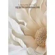 Постер книги Сад цветов и кружевных слов