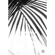 Постер книги Курочки и милиция, переворот мировощрения