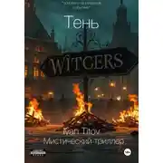 Постер книги Тень