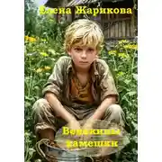 Постер книги Венькины камешки