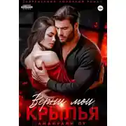 Постер книги Верни мои крылья