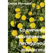 Постер книги Солнечное настроение пасмурной личности