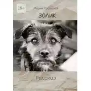 Постер книги Золик