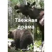 Постер книги Таежная драма