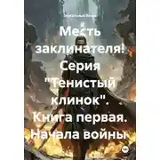 Постер книги Месть заклинателя! Серия «Тенистый клинок». Книга первая. Начала войны