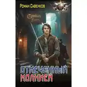 Постер книги Отмеченный молнией