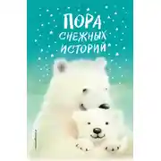 Постер книги Пора снежных историй