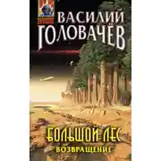Постер книги Большой лес. Возвращение
