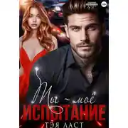Постер книги Ты – моё испытание