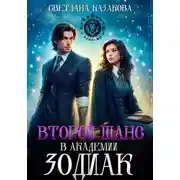 Постер книги Второй шанс в академии Зодиак
