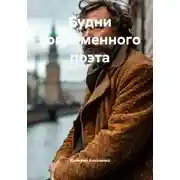 Постер книги Будни современного поэта