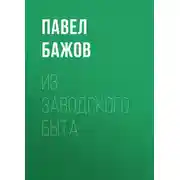 Постер книги Из заводского быта