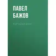Постер книги Турчаниниха