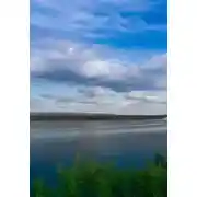 Постер книги Круиз золотой рыбки