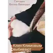 Постер книги Клин Климовым выбивают