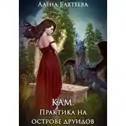 Постер книги Кам. Практика на острове друидов