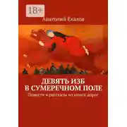 Постер книги Девять изб в сумеречном поле. Повести и рассказы из книги дорог