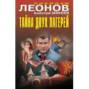 Постер книги Тайна двух лагерей