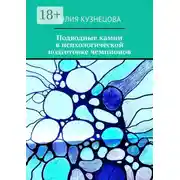 Постер книги Подводные камни в психологической подготовке чемпионов