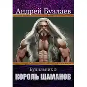 Постер книги Король Шаманов