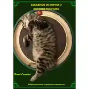 Постер книги Забавные истории о котенке Пончике