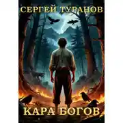 Постер книги Кара богов