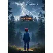Постер книги Гришка и молния