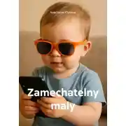 Постер книги Zamechatelny maly